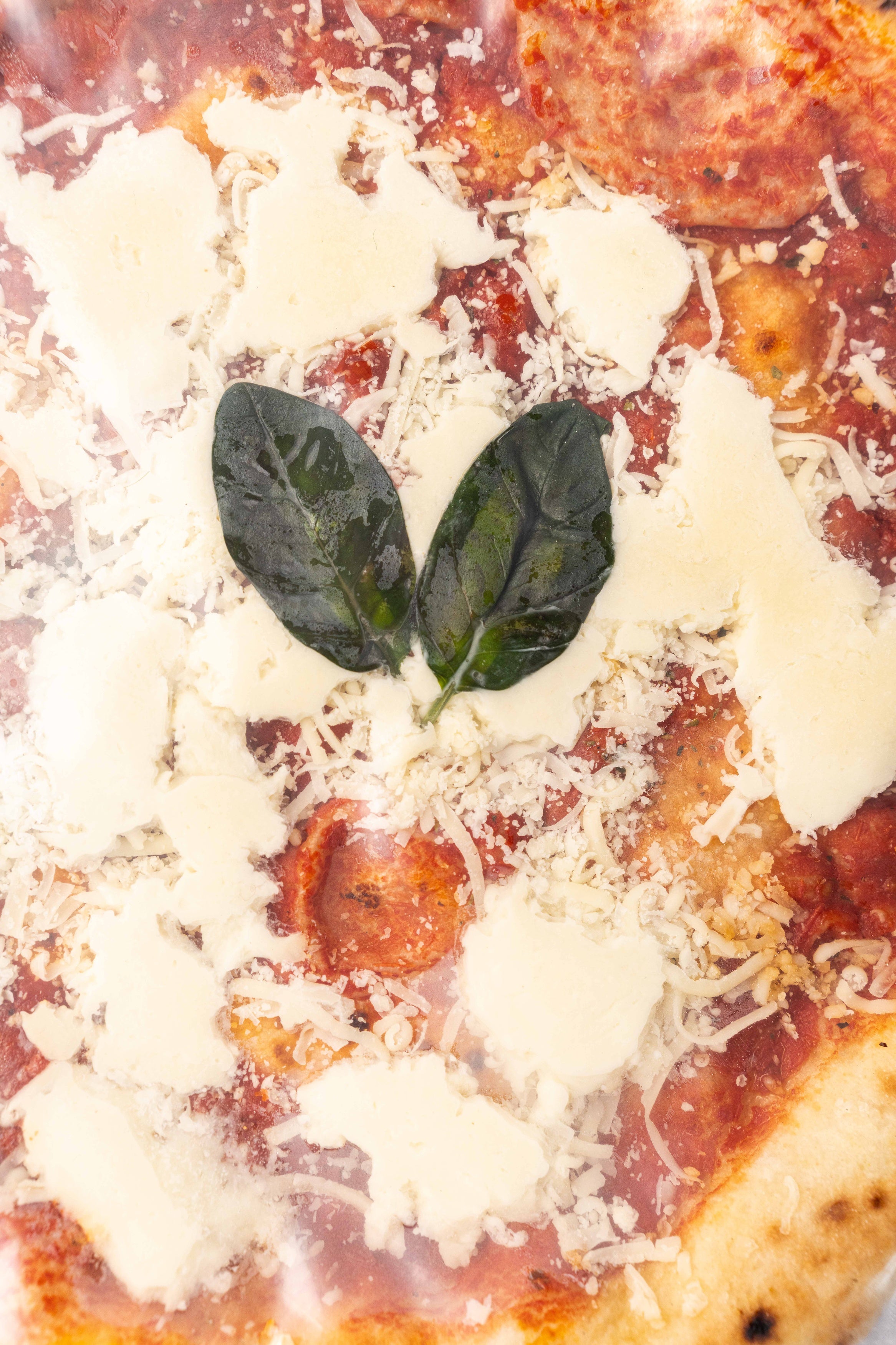 Margherita